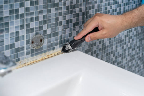 Best Post-Flood Mold Remediation in South Haven, MI